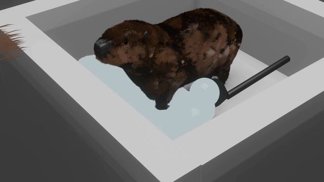 капибара в ванне