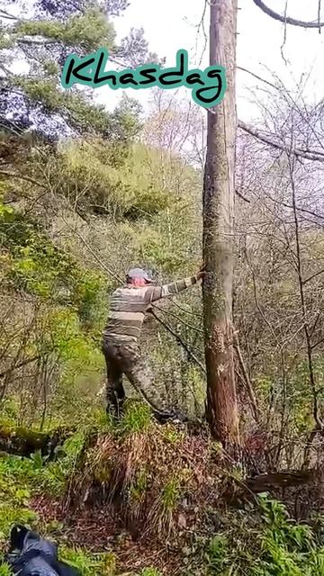 Диван лопнул