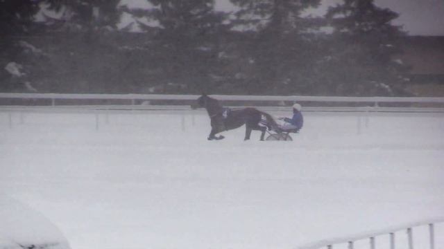 14 01 22   2 Заезд Приз Зимний