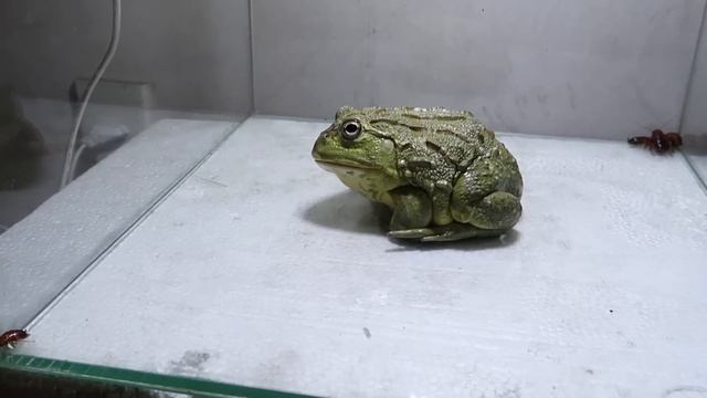 630e2d5a5ab69bd8c186e898395c7a4a