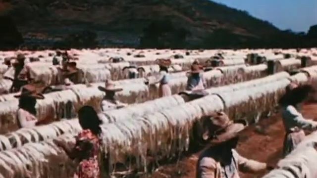 Seeing El Salvador - 1945