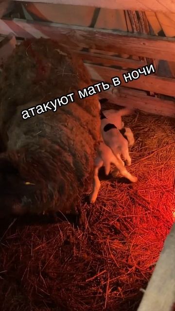 4abb1634569e13b6636cbb7366206370