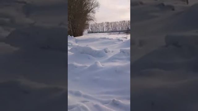 Уборка снега в Барнауле