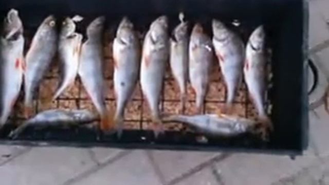 Zuvies Rukymas (smoked Fish)