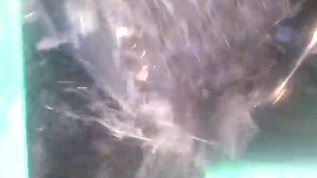 Агрегат смугового обробітку грунту під технологію Strip-till частина 2