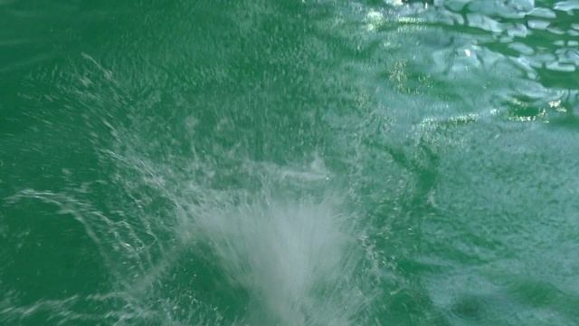 85116f622ed79868746b129497fcf1ad