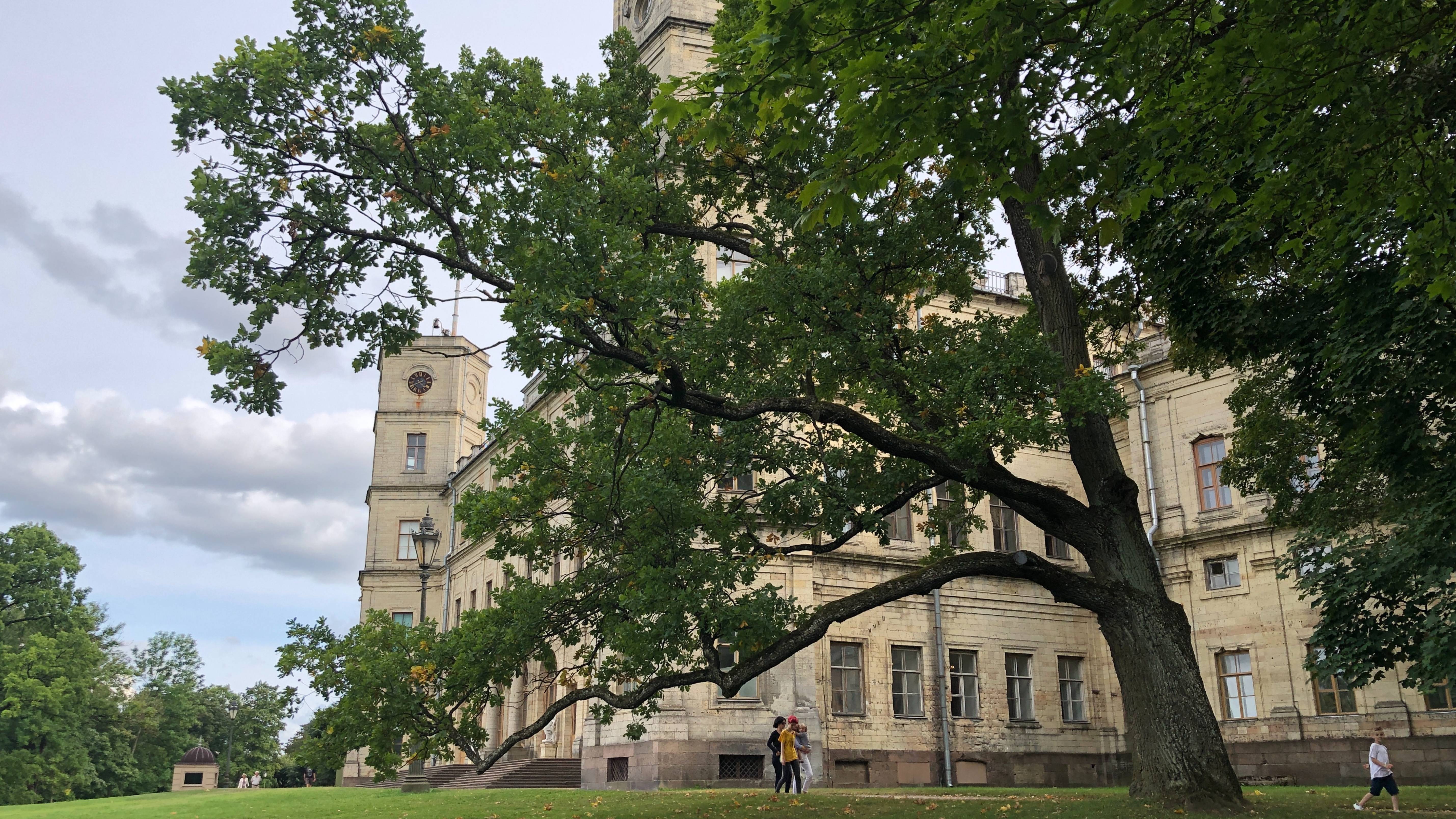 Императорский Дворец в Гатчине / HD