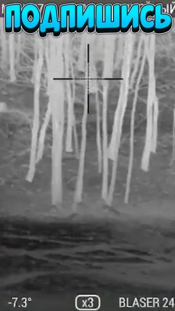 охота на кабана 2🐗#shorts  Добрый человек подпишется!