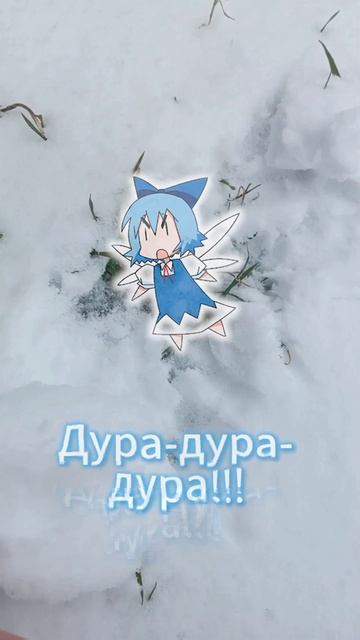Осторожно: возможны осадки в виде девочек из Touhou Project