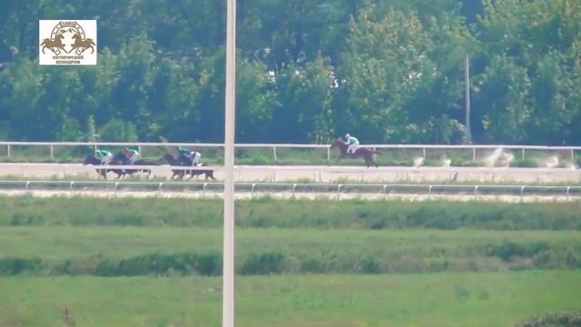 29.08.2021 - Приз в честь Дагестанских спортсменов Олимпийских игр - Мистер Тимсон