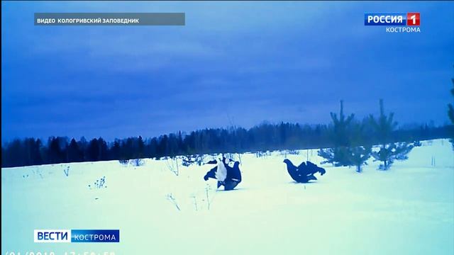 3c5bb39c34f8d6769d5f7102e14679df