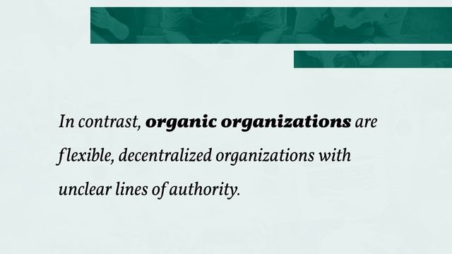 Mechanistic And Organic Structure