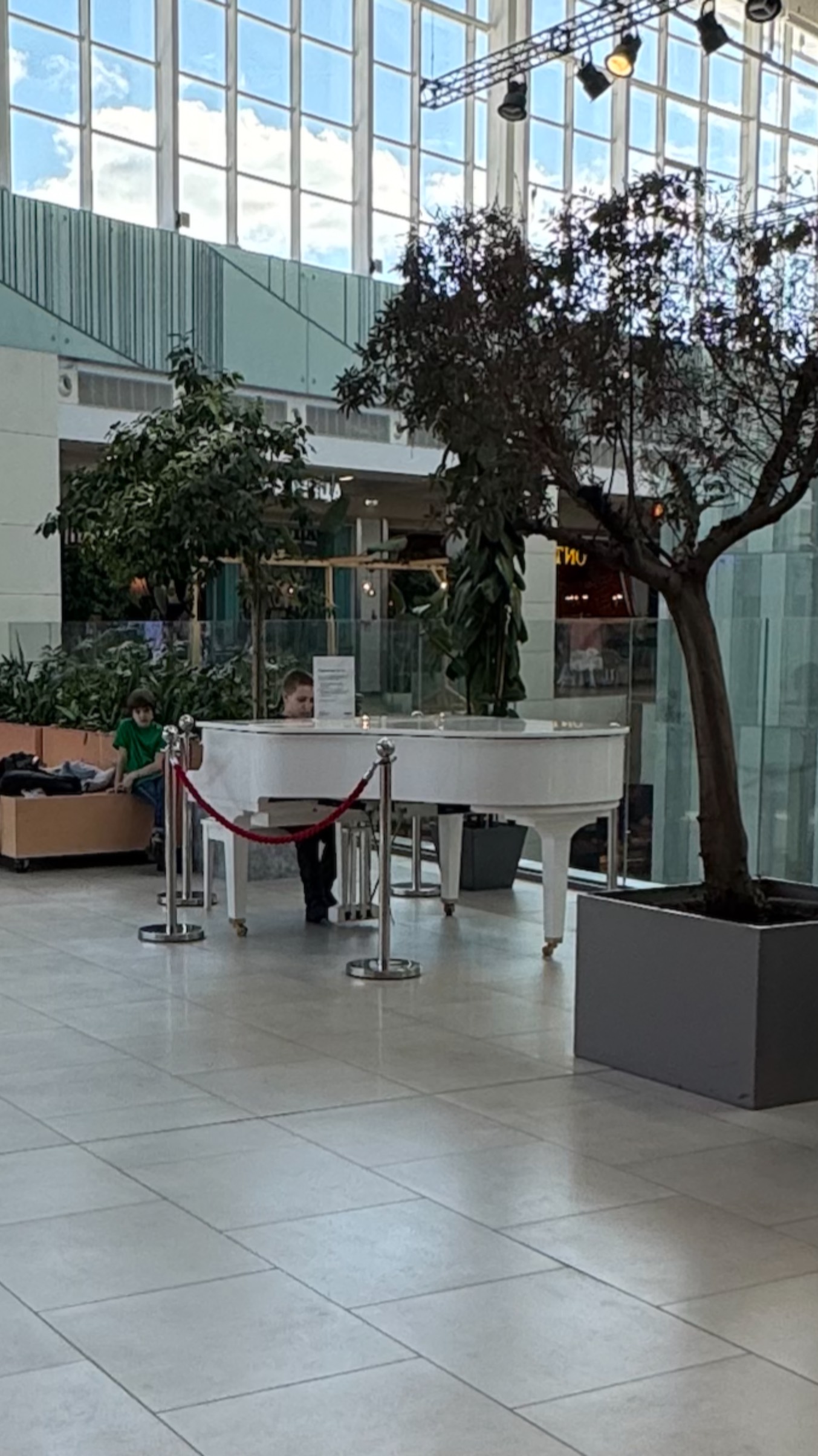 Маэстро и рояль. Прекрасное исполнение в МЕГА Химки! Рэгтайм