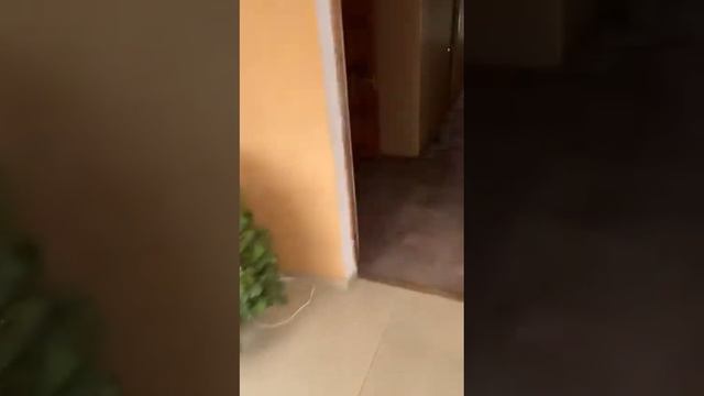 24 марта 2022 г.