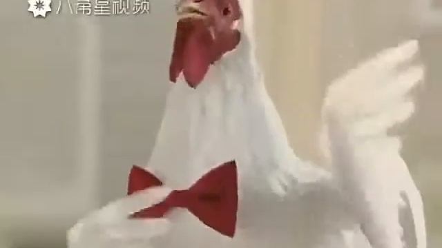 1e0721979ae157fb38bc164b417a8310