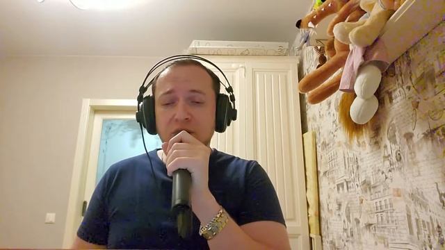 Time To Say Goodbye Andrea Bocelli Vocal Cover