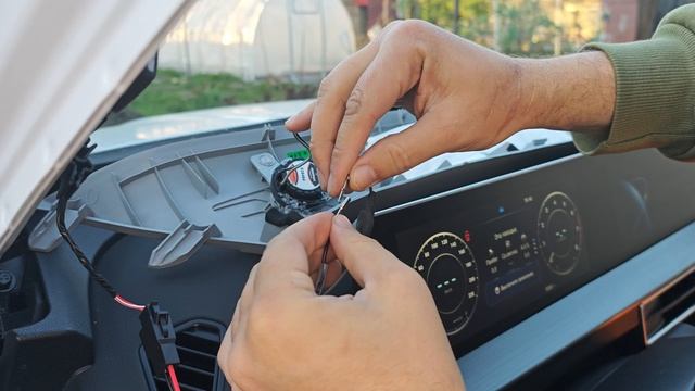 Алексей Малютин (АНМПРО)