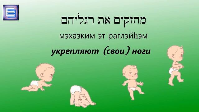 Вопрос-ответ #1 ♦️ Когда малыши учатся ходить? ♦️ ?מתי תינוקות לומדים ללכת (цикл 