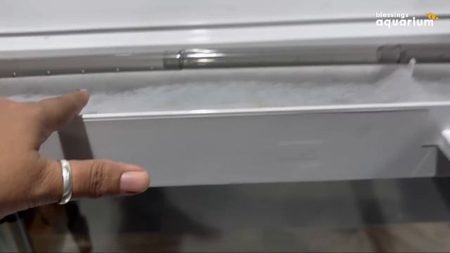 30 Inches Imported Fish Tank Price Revealed | 223$ Branded Aquarium | Fish Tank Price Pune #fishtan