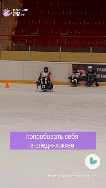 Пробные тренировки