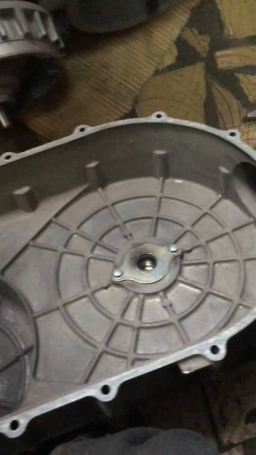 205f0bd9f7e298c91cf39be29d4c9691