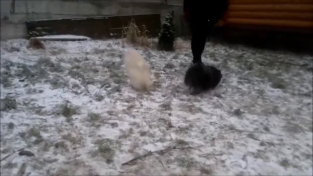 Мой фильм НЕО 1