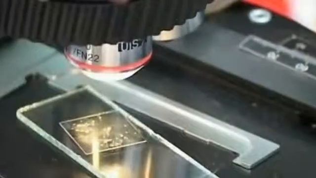 Криминальная Россия Генотип зверя