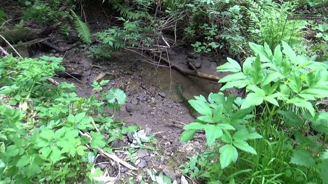 Прощание с Секретным