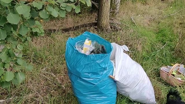 Уборка леса - во имя ИСВ И ГОСУДАРЫНИ МАТУШКИ!