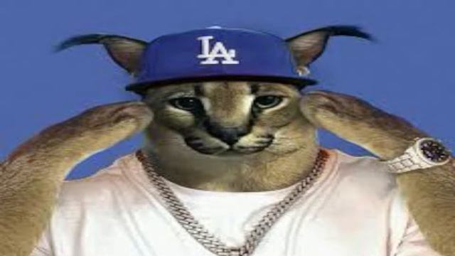 КАТКИ В ДОТУ С ЛЕГЕНДАМИ/НА 50 ФОЛЛОВЕРОВ НА ТВИЧЕ РОЗЫГРЫШ!