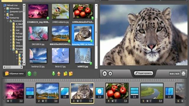 создание видео Adobe Premiere