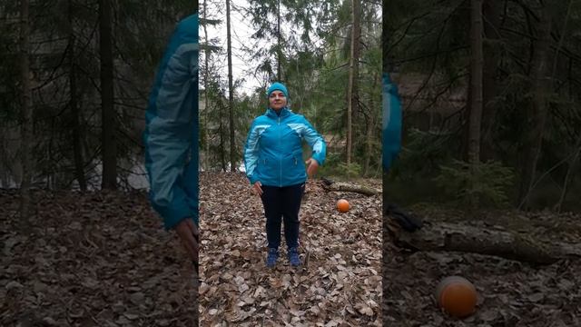 3e2ef1de9c345e9ad383ada9ebc7b608