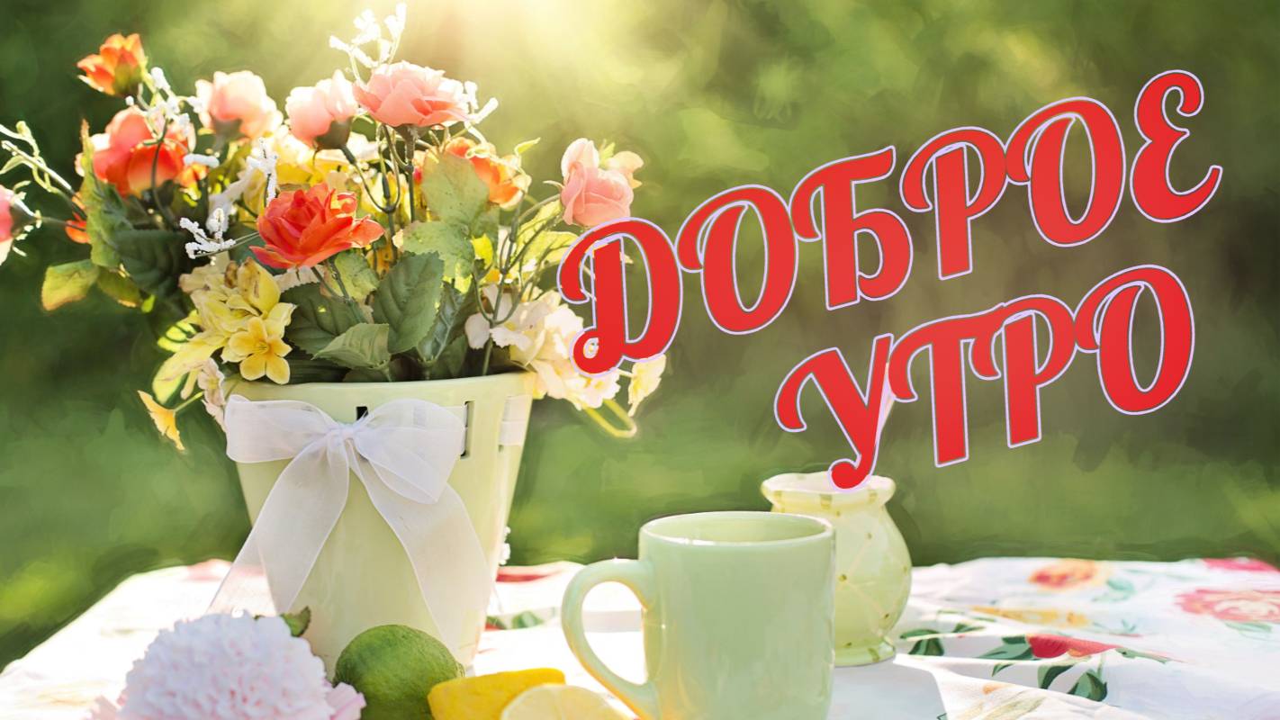 ДОБРОЕ УТРО Пусть утро будет нежным а день прекрасным Красивое пожелание с добрым утром