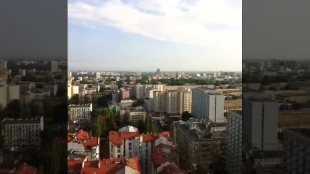 DL BMW Club Russia's Viddy