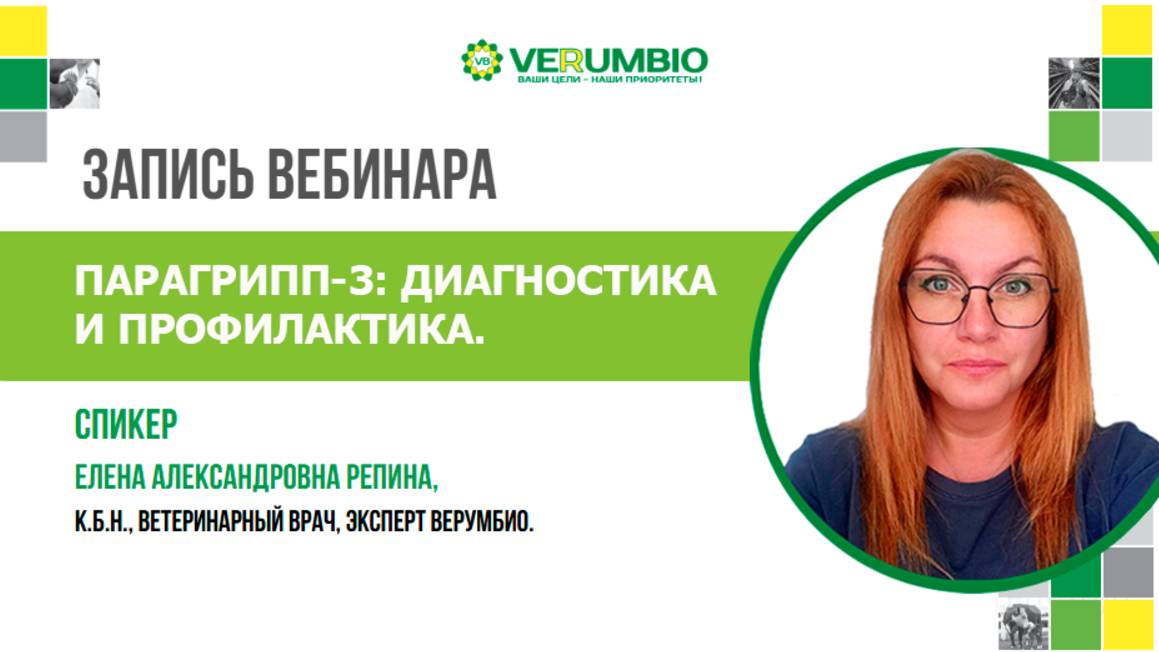 Запись вебинара 