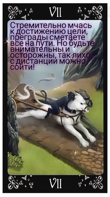 Таро 