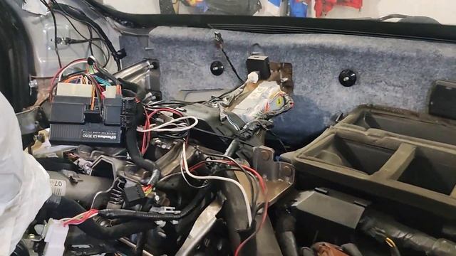 Огородный талант