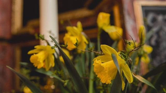 Ostern 2020 in der Klosterkirche Cottbus