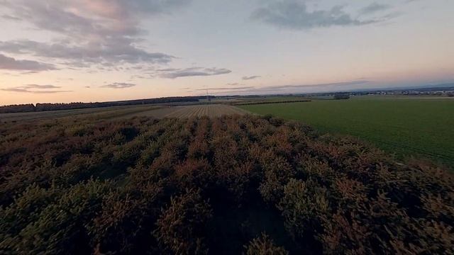FPV WALKSNAIL - Low Light Fly - Onboard VTX Recording