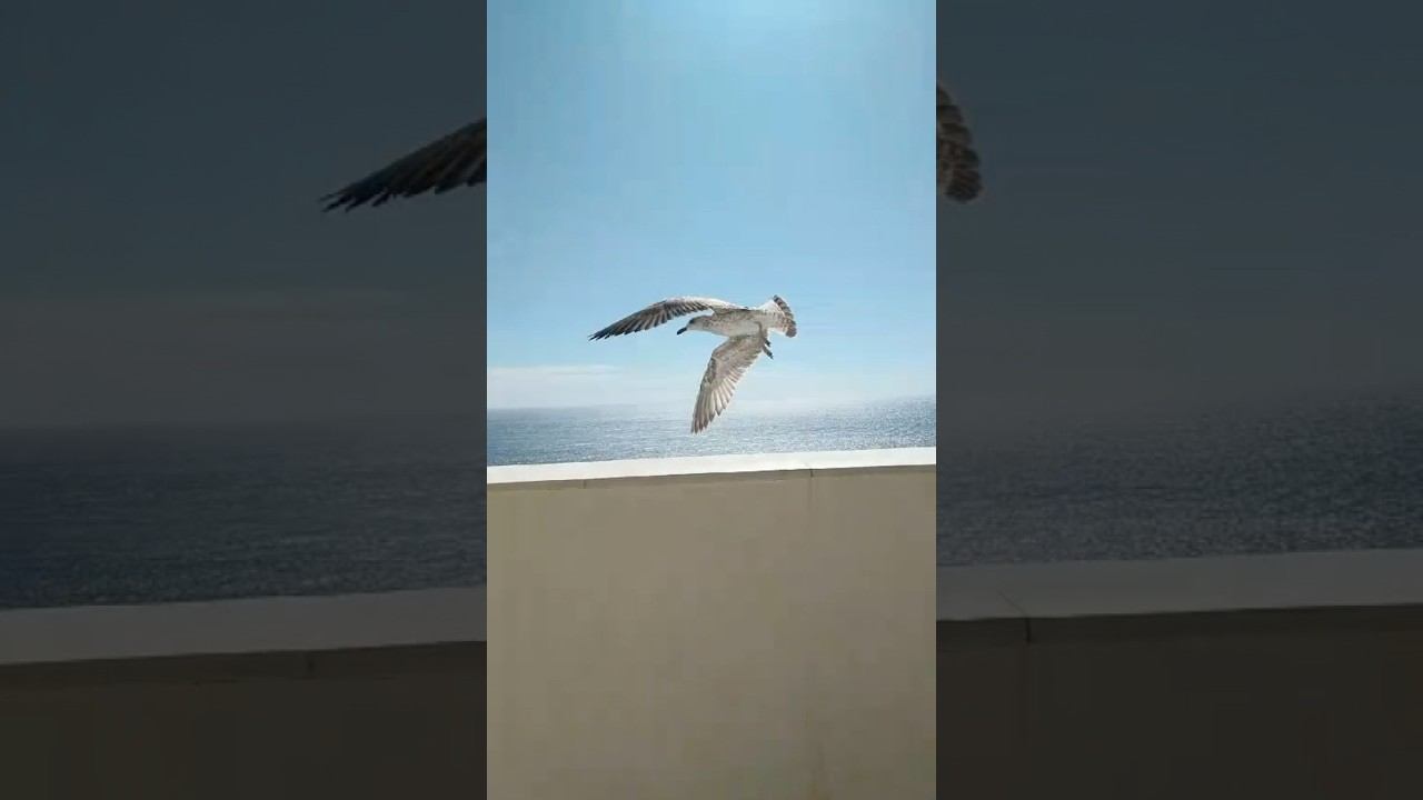 Уходящее лето