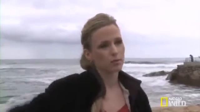 'Shark Attack Experiment' Host Anna Gilligan