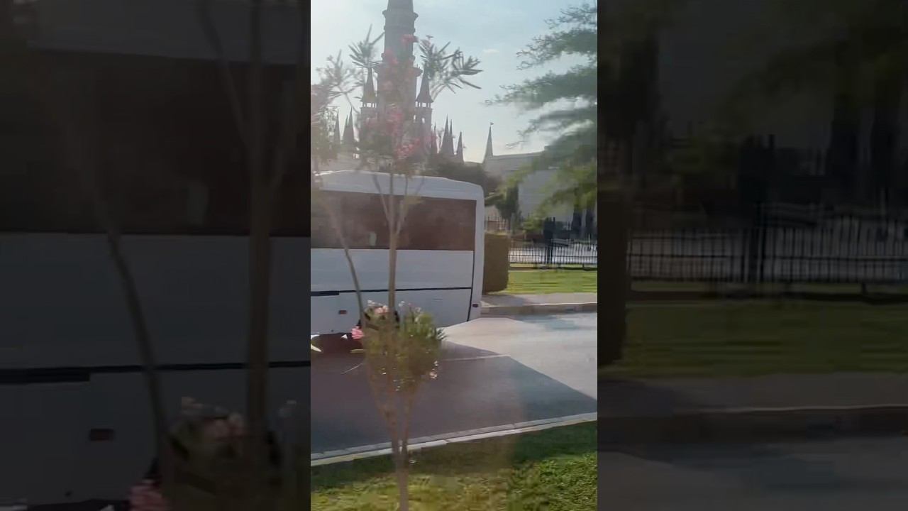 Белек Турецкий Дисней ленд