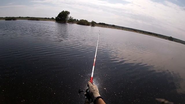 Щука та Окунь на разливе. Роздача. Україна.