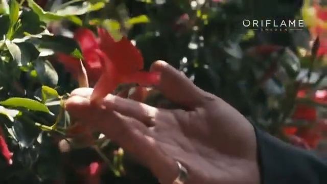 Oriflame представляет   My Red.