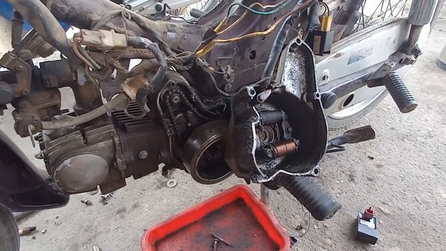 Cách Khắc Phục Dây Điện Bị Chuột Cắn Trên Xe Dream Thái