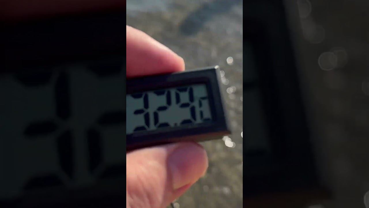 Обычное лето