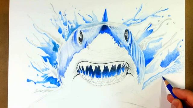 Drawing A Realistic Shark With 5 PENCILS