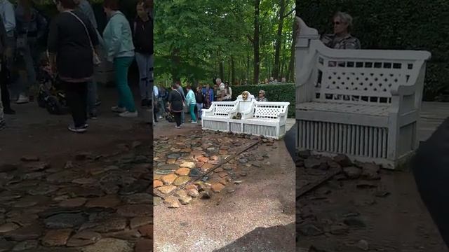 Фонтан-шутиха. Петергоф. Питер.