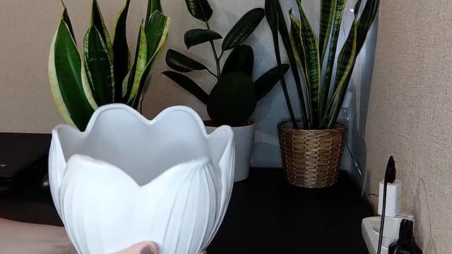 2aa9d63d5c38f70e778ada2c17478d1d