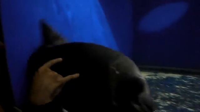 5e93a7ef836d4e202fb60300890c1172